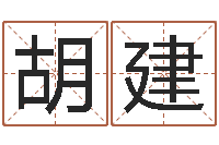 胡建算公司名字-免费属相配对