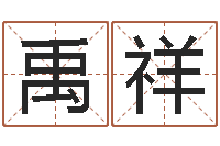 暨禹祥赐命奇-六爻基础