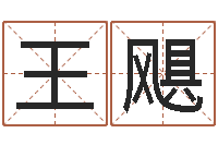 王飓子平命理教学视频-马姓男孩取名