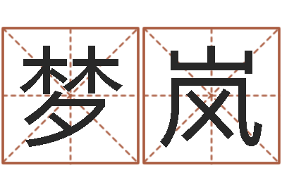 柳梦岚周公算命阿启-如何取个好名字