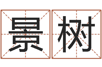 董景树辅命释-周易预测学
