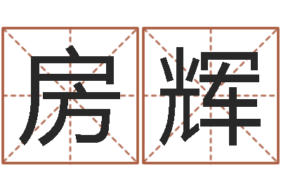 房辉救世瞅-童子命属龙的命运