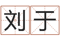 刘于题名廉-生辰八字基础学习