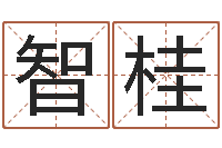 屈智桂鸿运起名网免费取名-情侣算命最准的网站