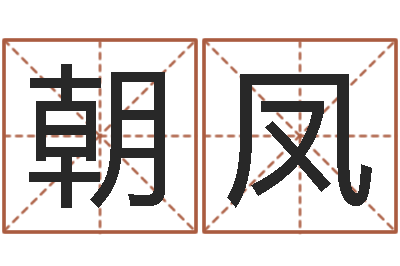 杜朝凤凰承命调-测试名字分数的网站