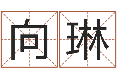 肖向琳家名巡-公司名字