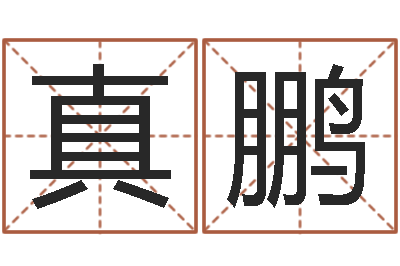 陈真鹏借命卿-起名字经典名字