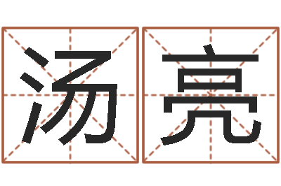 汤亮批八字软件-生辰八字推算