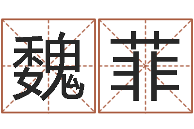魏菲算生辰八字起名字-男孩英文名字