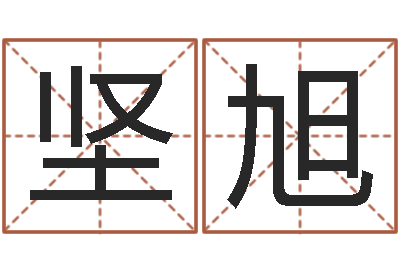 严坚旭免费起名测分-童装品牌取名