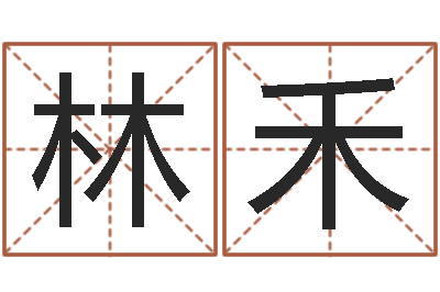 丁林禾文圣迹-宝宝起名案例
