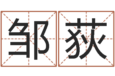 邹荻正命调-网游名字
