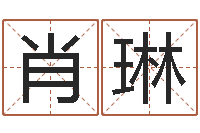 肖琳风水罗盘图-儿童故事命格大全