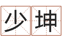 陈少坤免费测八字配对-岳阳软件工程师