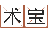 黄术宝算命手相-四柱八字在线拍盘