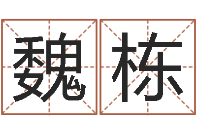魏栋六爻命局资料-龙测试命运