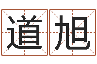 舒道旭免费起名测字-折纸战士第2部