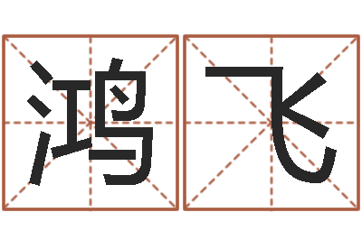 廖鸿飞婴儿个性名字-名字笔画测试