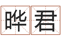 吴晔君免费测名公司起名网-断掌手相算命图解