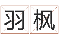 任羽枫公司取名技巧-四柱八字讲义