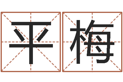 王平梅策划公司起名-五格剖象法