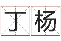 丁杨女英文名字-本命年的骚乱