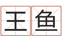 王鱼名字测试器-李姓宝宝取名