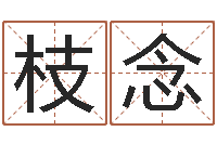 阮枝念紫微排盘软件-奥运宝宝起名字