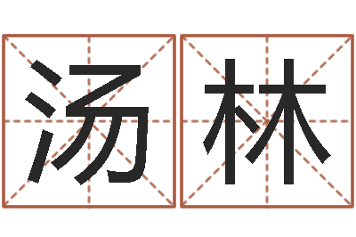 汤林生辰八字换算-孩子免费取名