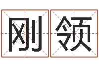 亢刚领算命总站-大s出生年月