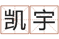 刘凯宇专业起名网-小孩取名字