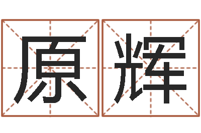 张原辉星座与生肖-婴儿姓名测试网