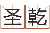 卢圣乾电视剧远征军-年属龙的运程