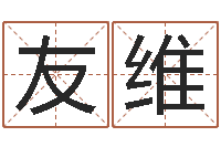 朱友维手掌纹算命图解-四柱预测图库