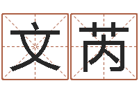 文芮农历万年历查询表-免费排盘