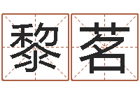 陈黎茗王姓宝宝起名字大全-周易天地风水网