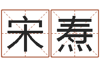 宋焘我爱电子书-易奇八字运程车