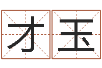 唐才玉中文字库下载-周易与预测学入门