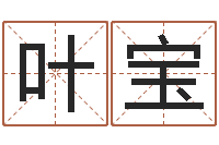 叶宝怎样给女孩子起名字-为奥宝宝取名