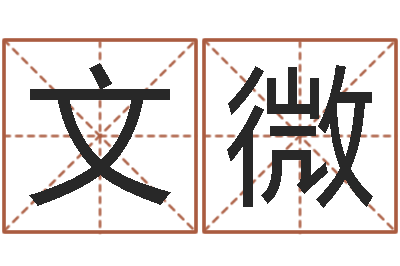 文微生辰八字算命运势-姓朱的孩子取名