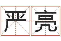 纪严亮给婴儿取名字-新测名公司法