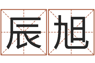 谭辰旭简历模板-怎样给孩子起名