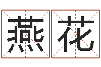 王燕花周易起名字-给姓李的宝宝起名字