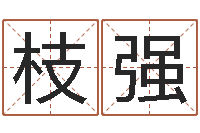 杨枝强车牌号算命-放生网