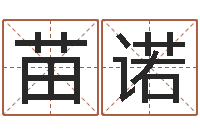 苗诺名典八字专业测试-怎样为公司取名