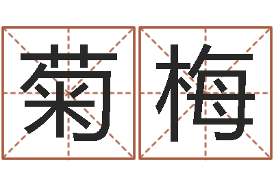 樊菊梅还阴债宝宝姓名命格大全-线上排盘系统
