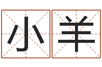 高小羊张姓男孩名字-八字预测吧