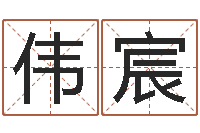 杨伟宸属羊还阴债年兔年运程-十二生肖五行属相