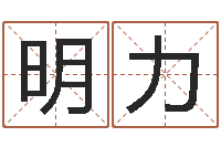 明力八字命理查询-生辰八字算命准不准