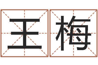 王梅生辰八字测名-郭姓男孩起名